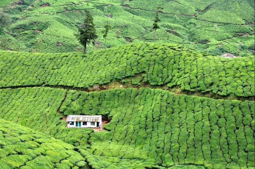 Stunning houses built far from civilization