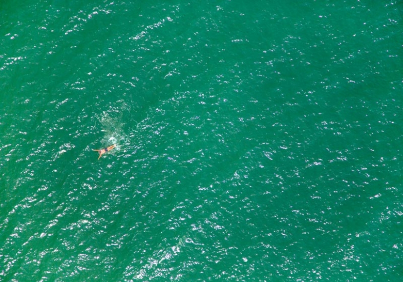 Summer, beach - top view