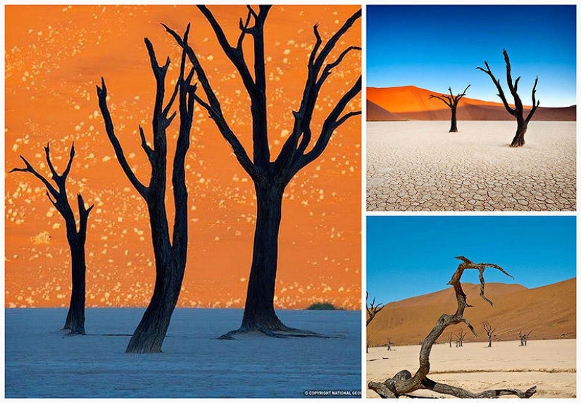 Surreal landscapes of Namib-Naukluft Park