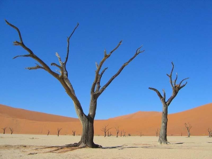 Surreal landscapes of Namib-Naukluft Park