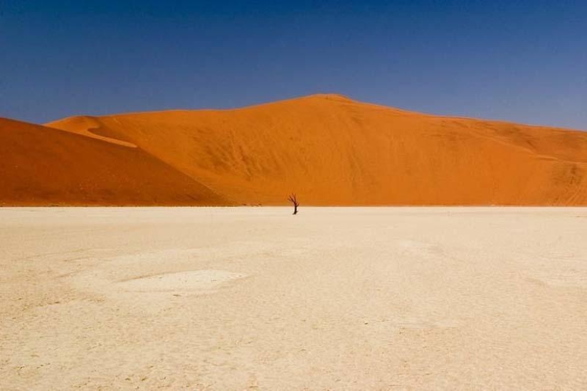 Surreal landscapes of Namib-Naukluft Park