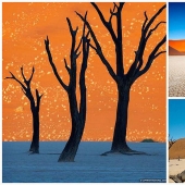 Surreal landscapes of Namib-Naukluft Park