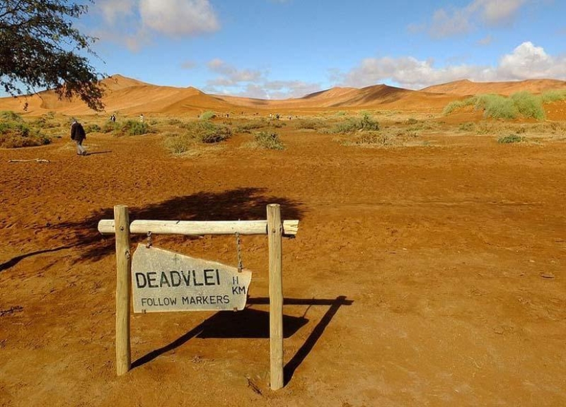 Surreal landscapes of Namib-Naukluft Park