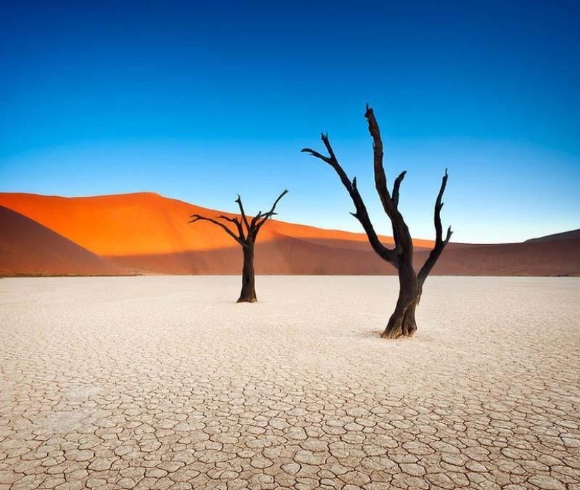 Surreal landscapes of Namib-Naukluft Park