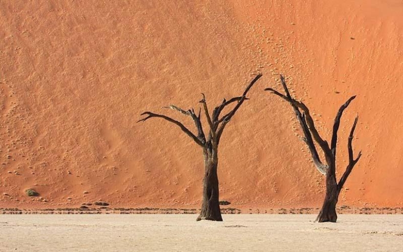 Surreal landscapes of Namib-Naukluft Park