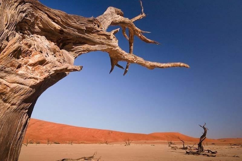 Surreal landscapes of Namib-Naukluft Park