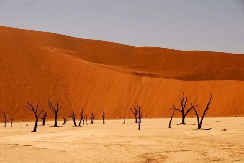 Surreal landscapes of Namib-Naukluft Park