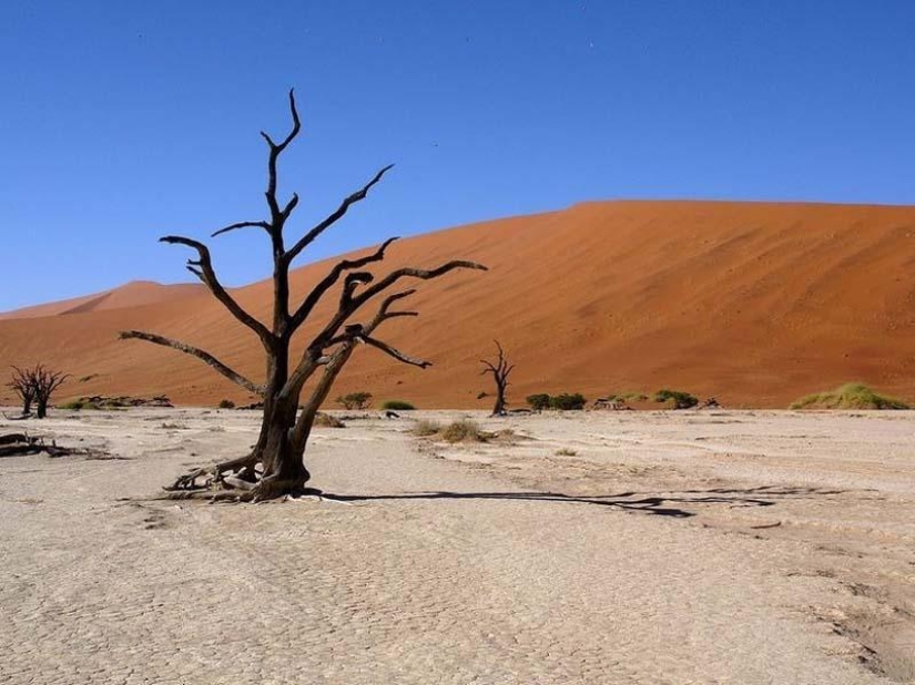 Surreal landscapes of Namib-Naukluft Park