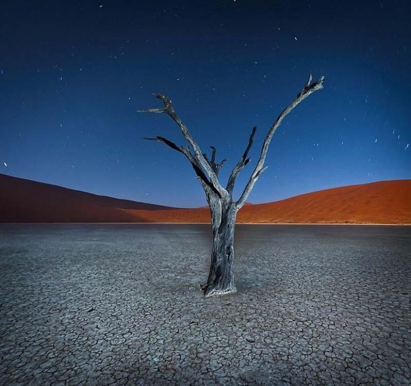 Surreal landscapes of Namib-Naukluft Park