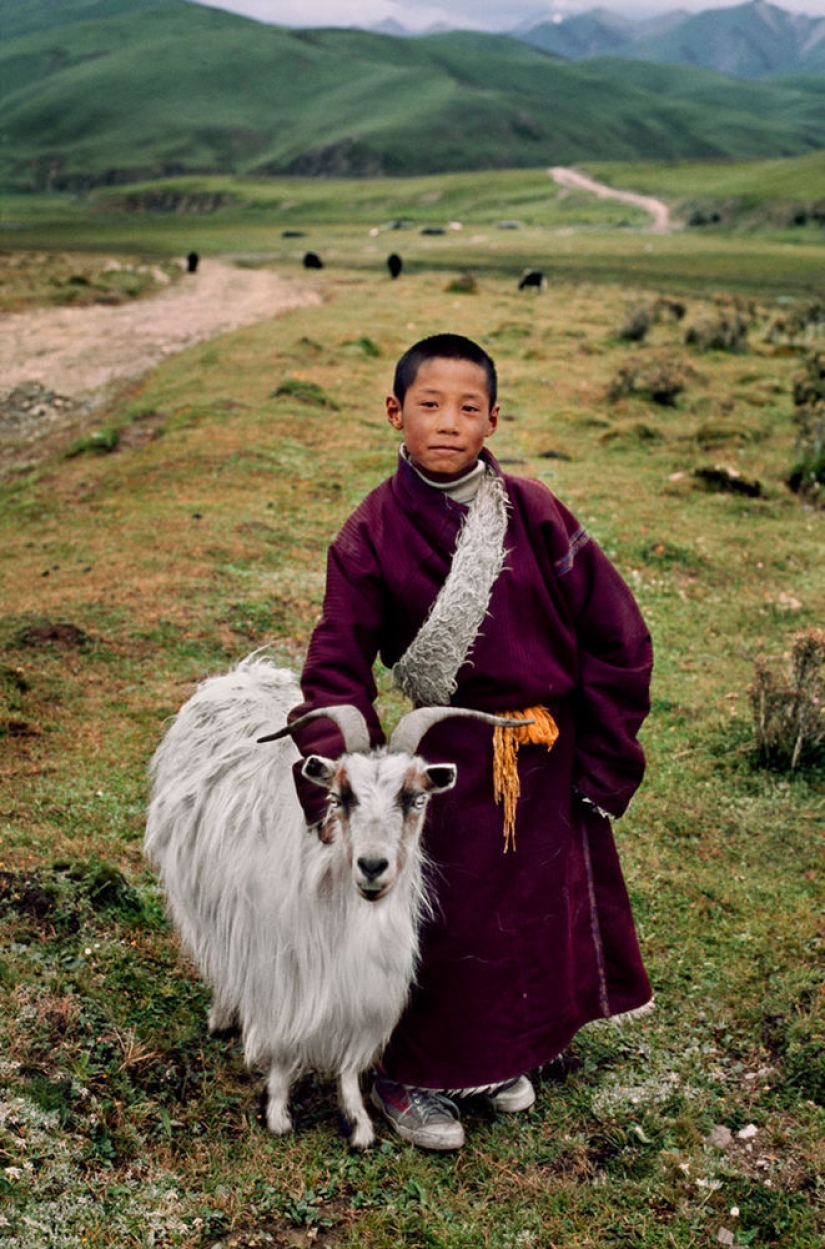 Tú y yo somos de la misma sangre: 35 increíbles fotografías de personas y animales de Steve McCurry