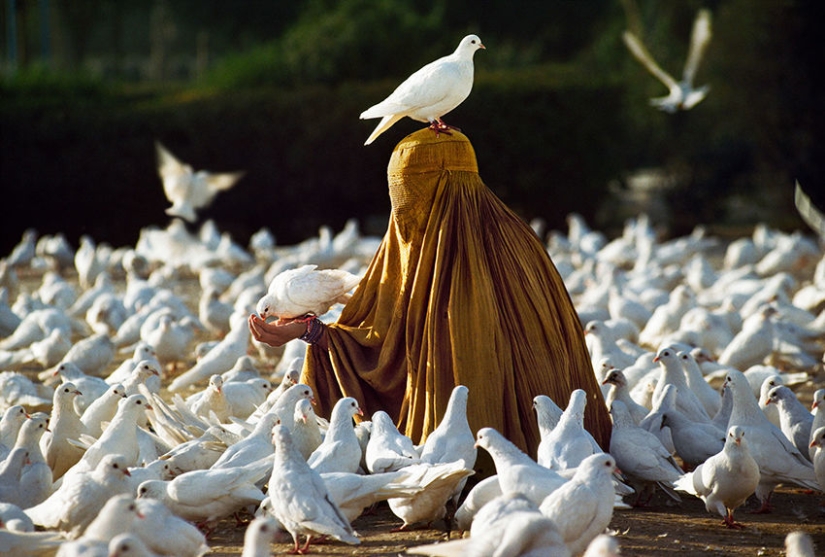 Tú y yo somos de la misma sangre: 35 increíbles fotografías de personas y animales de Steve McCurry