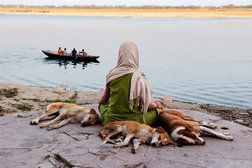 Tú y yo somos de la misma sangre: 35 increíbles fotografías de personas y animales de Steve McCurry