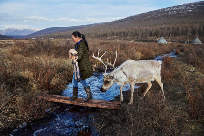 Tú y yo somos de la misma sangre: 35 increíbles fotografías de personas y animales de Steve McCurry