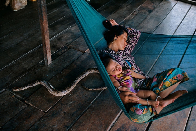 Tú y yo somos de la misma sangre: 35 increíbles fotografías de personas y animales de Steve McCurry