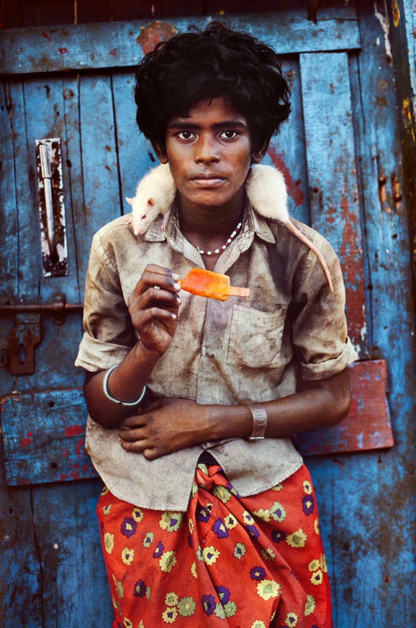 Tú y yo somos de la misma sangre: 35 increíbles fotografías de personas y animales de Steve McCurry