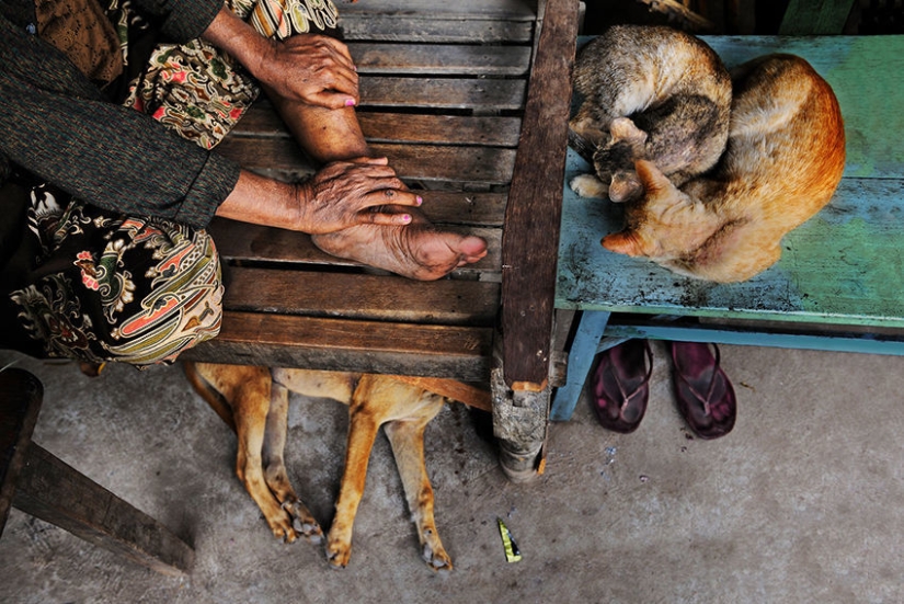 Tú y yo somos de la misma sangre: 35 increíbles fotografías de personas y animales de Steve McCurry