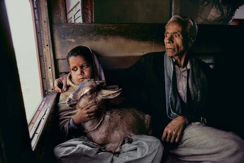 Tú y yo somos de la misma sangre: 35 increíbles fotografías de personas y animales de Steve McCurry