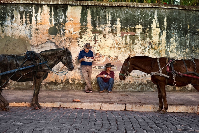 Tú y yo somos de la misma sangre: 35 increíbles fotografías de personas y animales de Steve McCurry