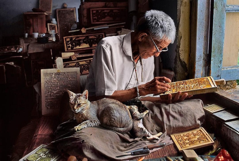 Tú y yo somos de la misma sangre: 35 increíbles fotografías de personas y animales de Steve McCurry