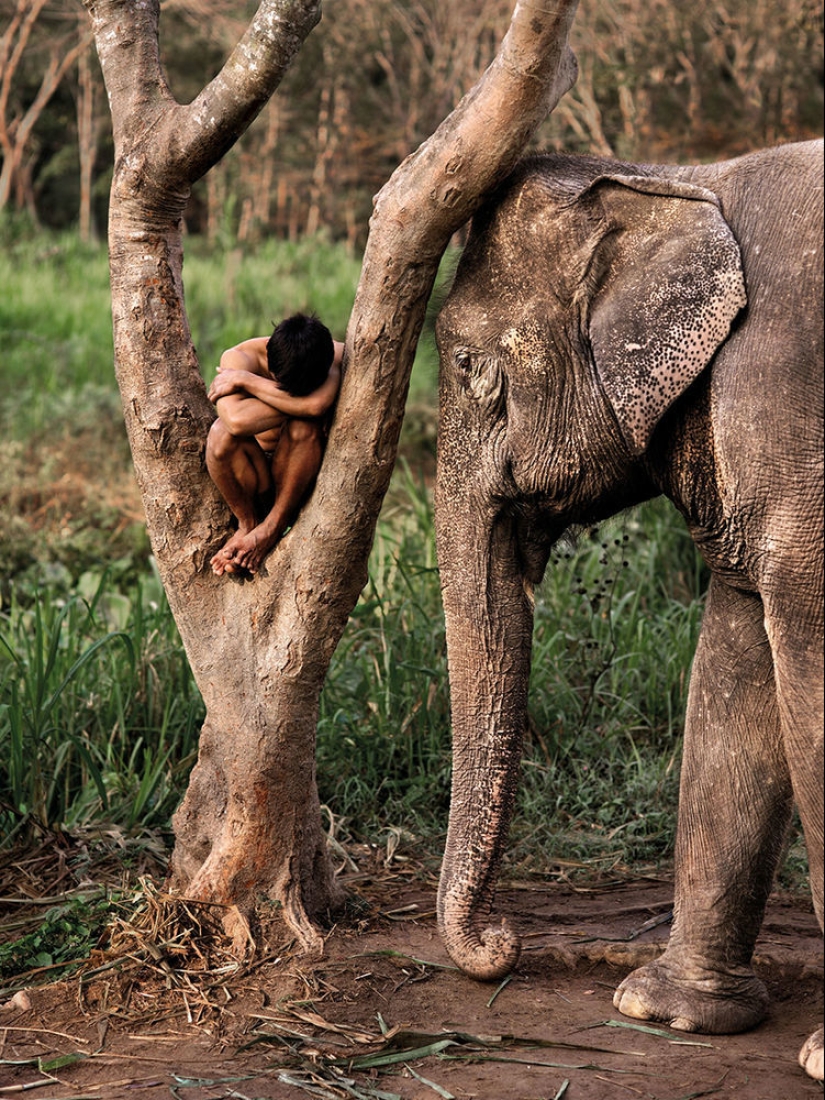 Tú y yo somos de la misma sangre: 35 increíbles fotografías de personas y animales de Steve McCurry