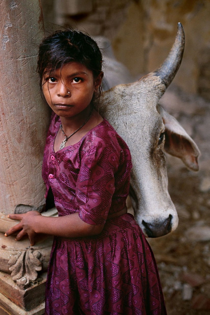 Tú y yo somos de la misma sangre: 35 increíbles fotografías de personas y animales de Steve McCurry