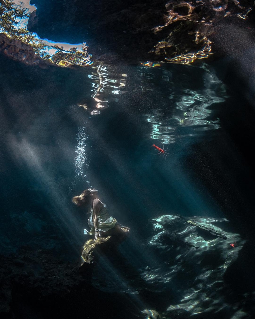 Talented photographer andré Musgrove makes an incredible underwater pictures