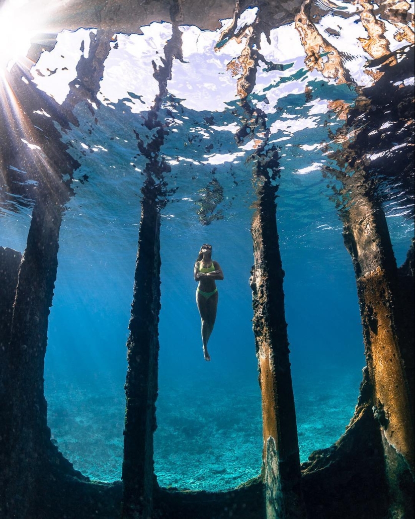 Talentoso fotógrafo andré Musgrove hace una increíble fotos bajo el agua