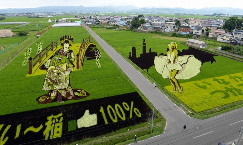 Tambo Art-pinturas increíbles en los campos de arroz de Japón