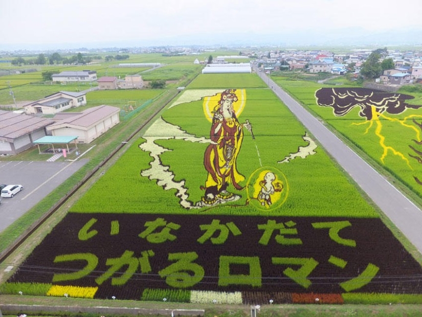 Tambo Art-pinturas increíbles en los campos de arroz de Japón