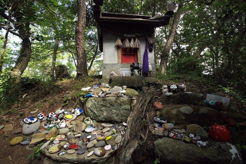 Tashiro-jima Island — how a small piece of land became a cat's paradise