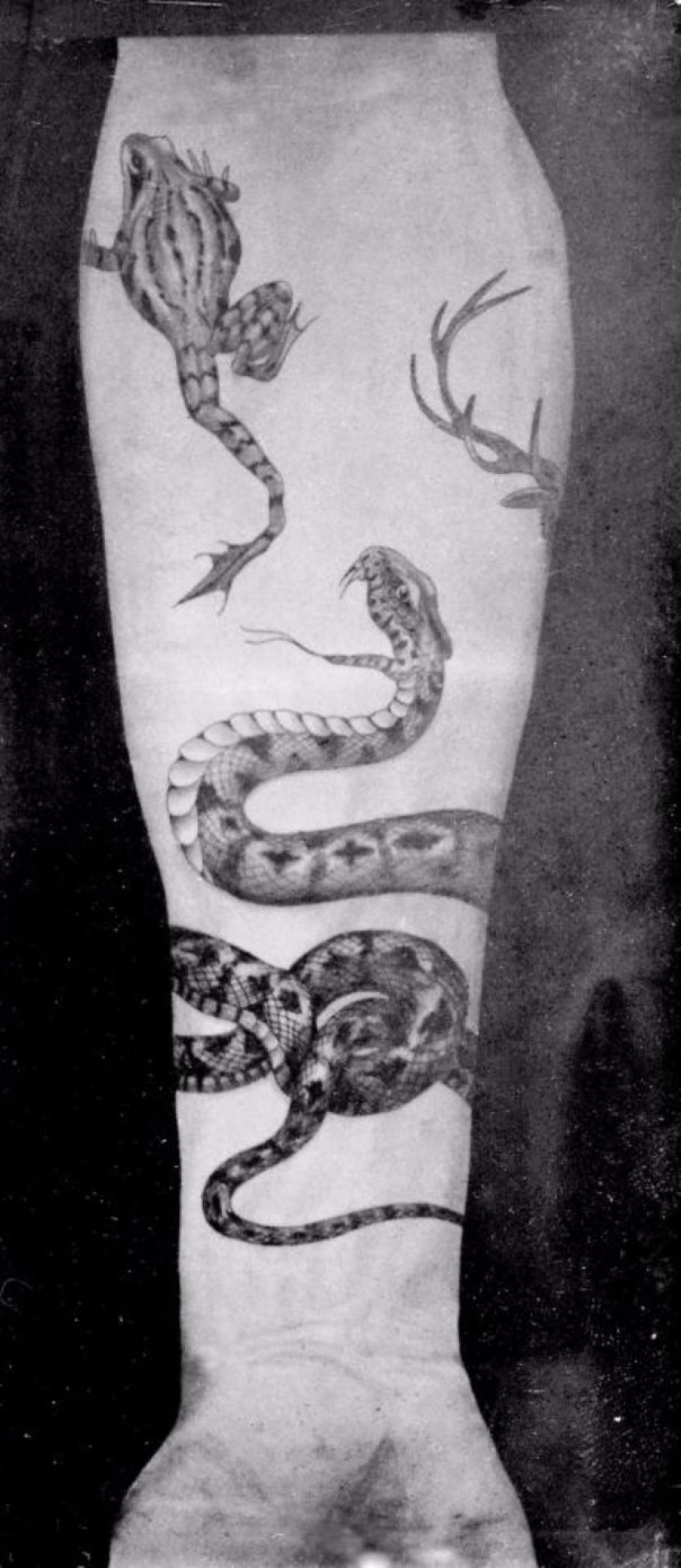 Tatuajes de lujo de la época victoriana: querubines, dragones y escudos de armas