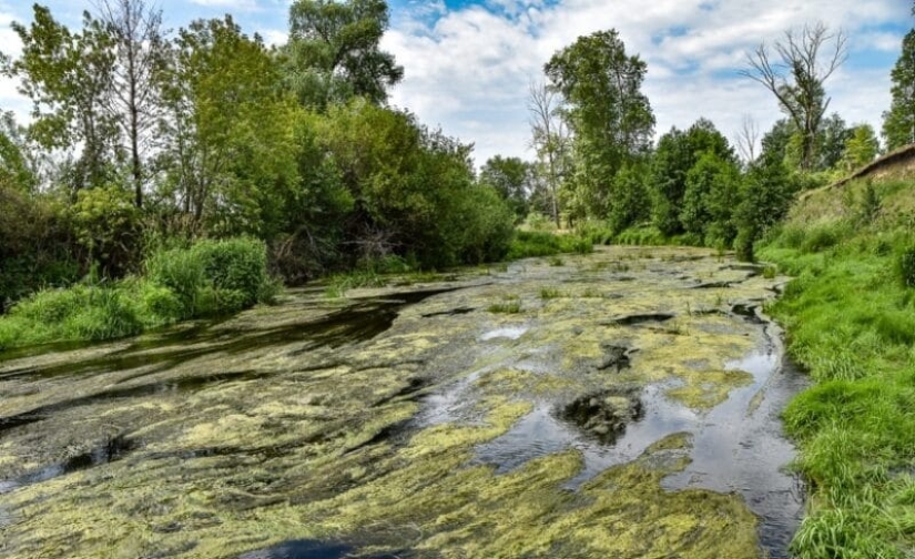 Techa radiactiva, la triste historia del río más peligroso de Rusia