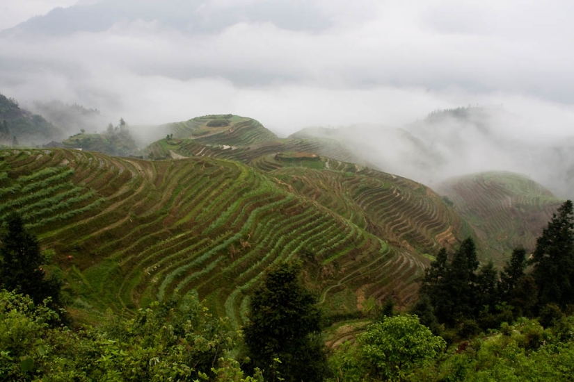 Terrazas de Arroz de Dragon Ridge»