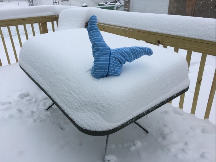 That's what a real winter: 30+ photos that you will be cold
