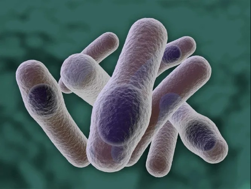 The 10 most dangerous bacteria