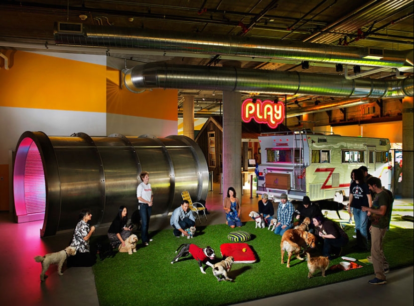 The 12 coolest offices in the world