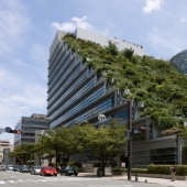 The architects of these houses proved that a garden can be created even on the roof