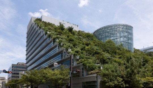 The architects of these houses proved that a garden can be created even on the roof