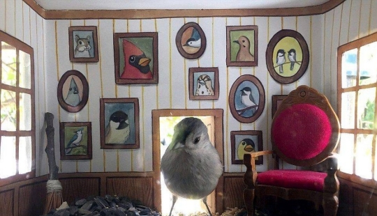 The artist makes cute houses for birds