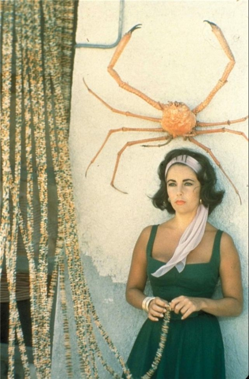 The beautiful Elizabeth Taylor in her Prime: rare photos from the filming of 1959