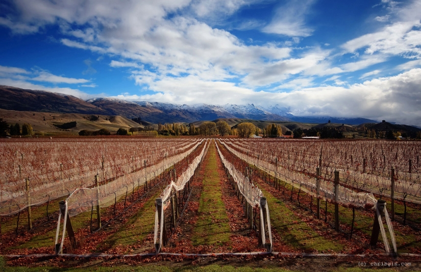 The beauty of New Zealand landscapes in the lens of Chris Jean