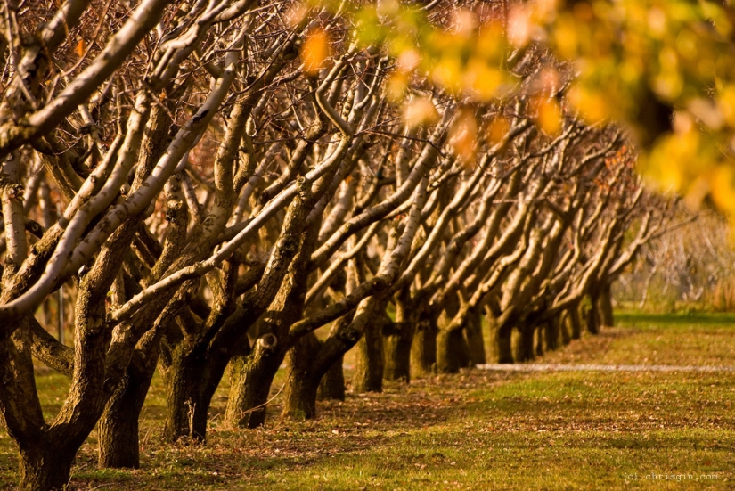 The beauty of New Zealand landscapes in the lens of Chris Jean