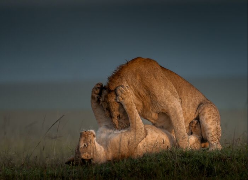 The Best 15 Photographs Of 2024, As Shared By Siena International Photo Awards