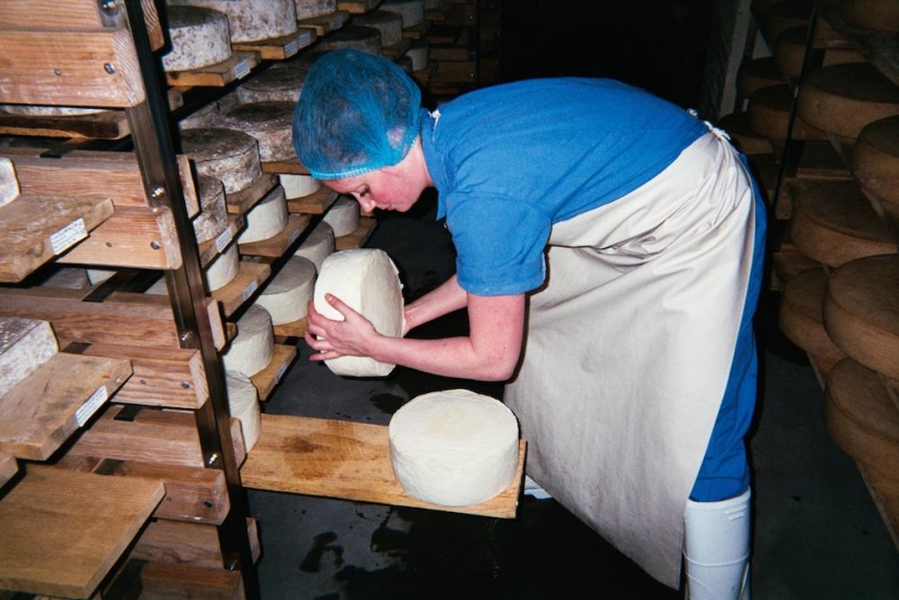 The Cheese Hole: A Day in the Life of a Brooklyn Cheesemaker