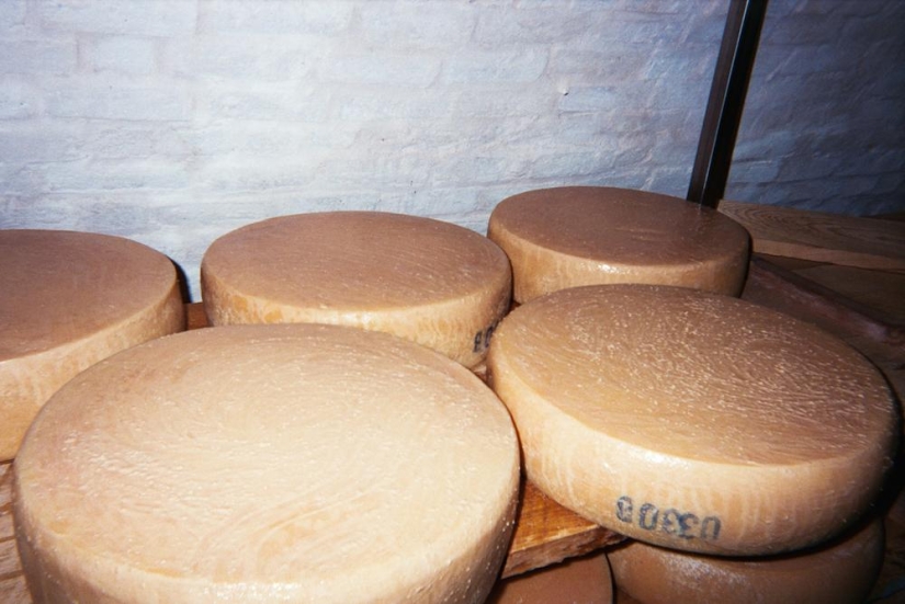 The Cheese Hole: un día en la vida de un quesero de Brooklyn