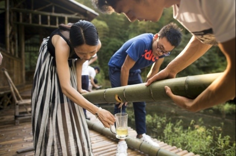 The Chinese have learned how to produce medicinal alcohol inside a live bamboo