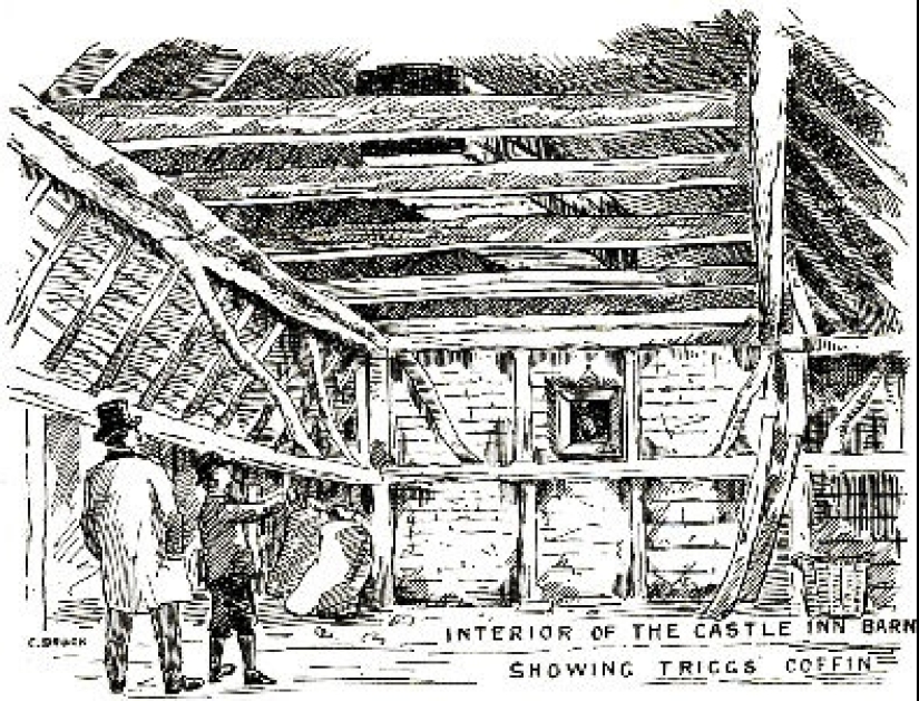 The Coffin in the Attic: The Incredible Story of Henry Trigg and His Adventures After Death