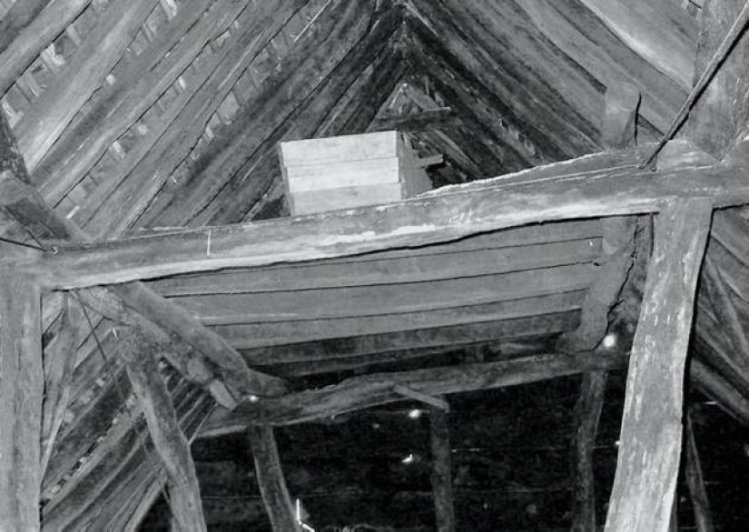 The Coffin in the Attic: The Incredible Story of Henry Trigg and His Adventures After Death