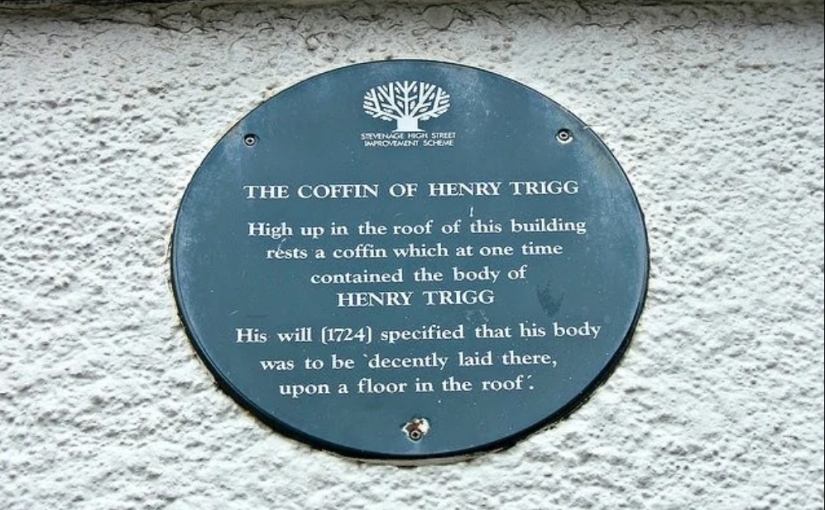 The Coffin in the Attic: The Incredible Story of Henry Trigg and His Adventures After Death