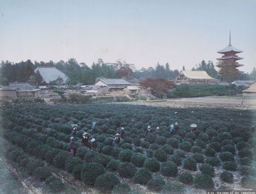 The colors of Japan of the XIX century through the eyes of an American photographer